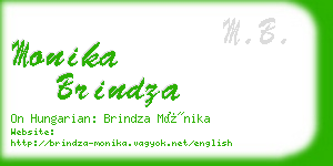 monika brindza business card